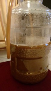 Wort transfer to primary